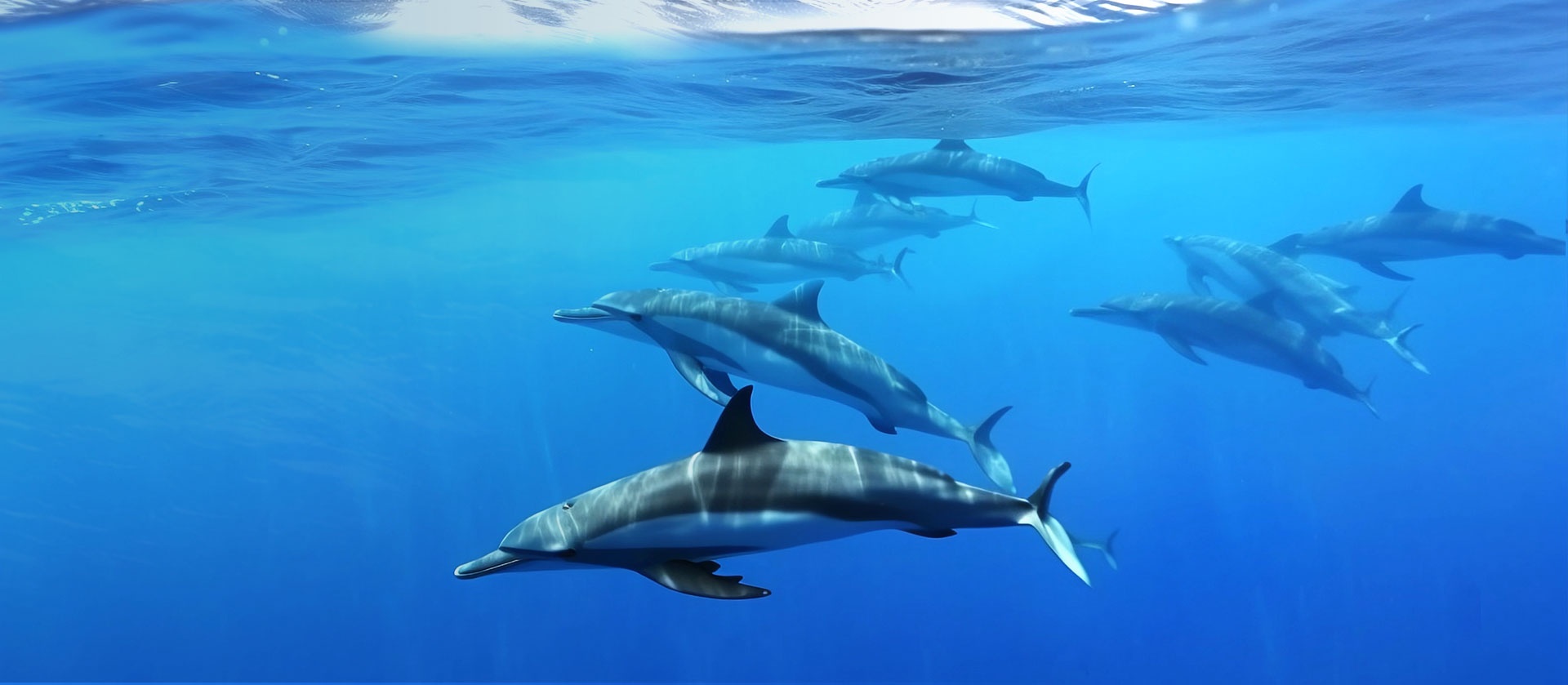 首页|腾博会官网·专业服务诚信为本!