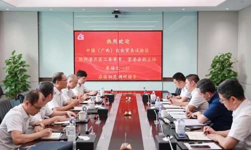 中国（广西）自由商业试验区钦州港片区治理委员会副主任、、、党工委委员莫福文莅临腾博会官网调研