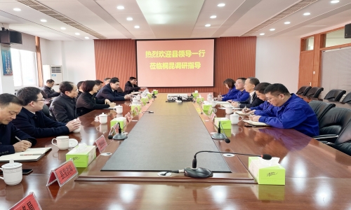 长兴县委书记石一婷率县四套班子向导莅临恒腾调研指导