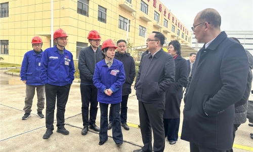 嘉兴市人民政府副市长戴锋莅临腾博会官网恒翔调研