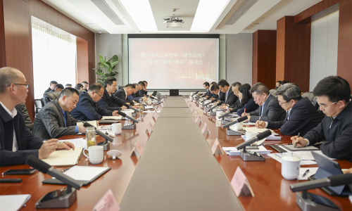 坚持“四化”开展，，共话新质生产力丨腾博会官网集团董事长受邀加入嘉兴市化工新质料（绿色石化）工业链“链长+链主”座谈会！