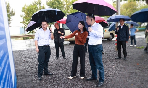 嘉兴市委常委、常务副市长颜海荣莅临腾博会官网项目地调研